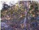 2 Vallah Road, Stanthorpe QLD 4380