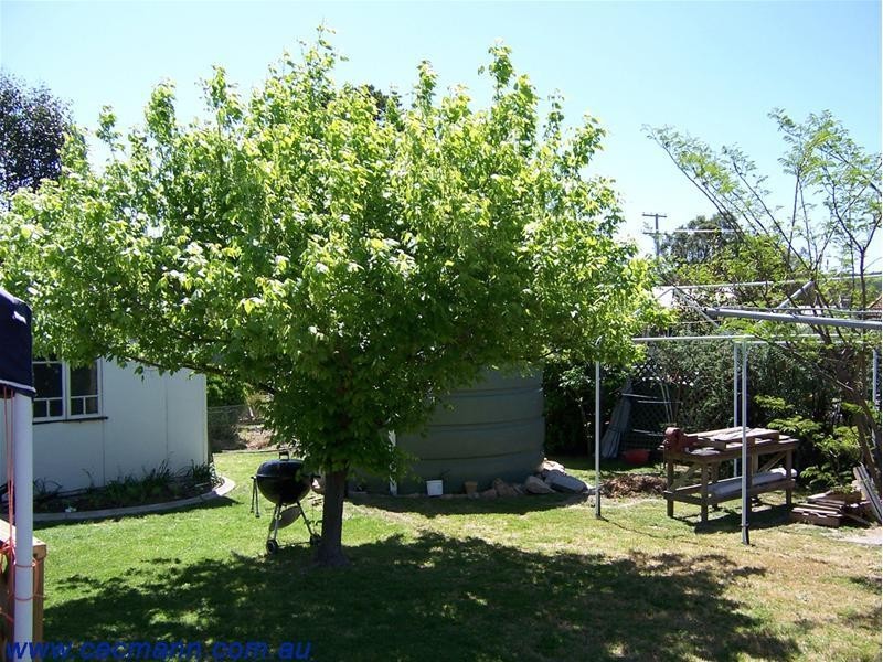 8 Ellevsen Street, Stanthorpe QLD 4380