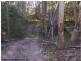 110 Old Caves Road, Stanthorpe QLD 4380