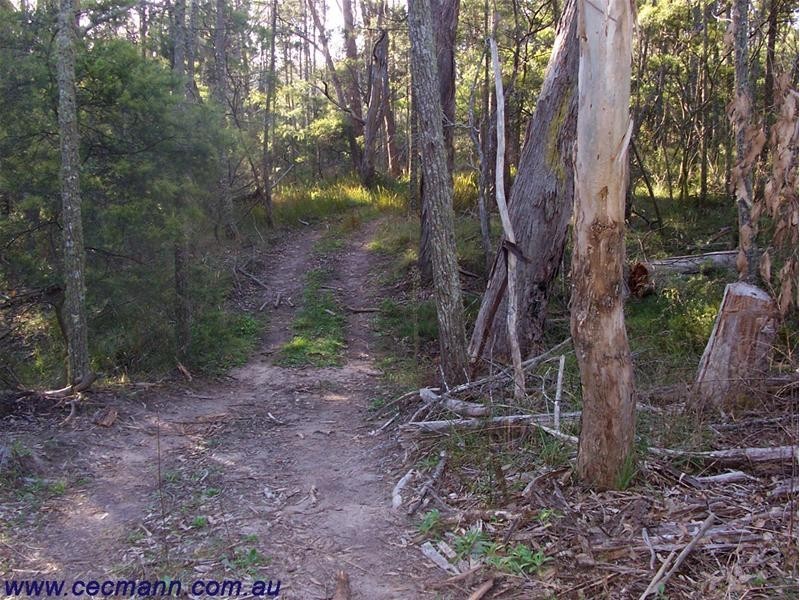 110 Old Caves Road, Stanthorpe QLD 4380