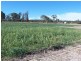 Lot 3 Texas Road, Broadwater QLD 4380