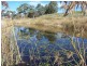 Lot 3 Texas Road, Broadwater QLD 4380