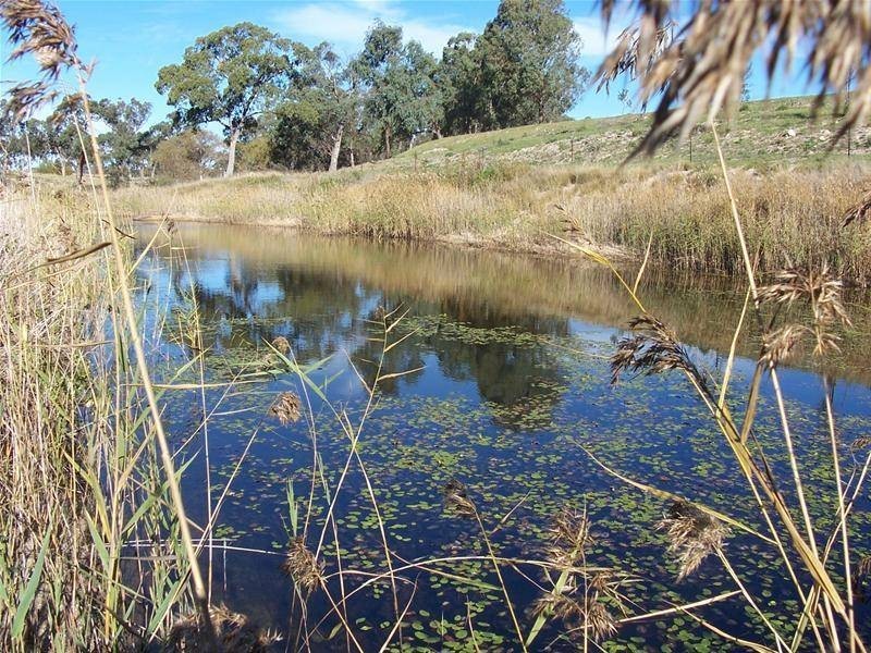 Lot 3 Texas Road, Broadwater QLD 4380