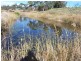 Lot 3 Texas Road, Broadwater QLD 4380