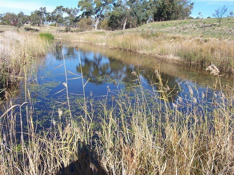 Lot 3 Texas Road, Broadwater QLD 4380