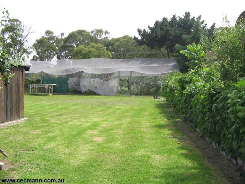 105 Tennant Road, Stanthorpe QLD 4380
