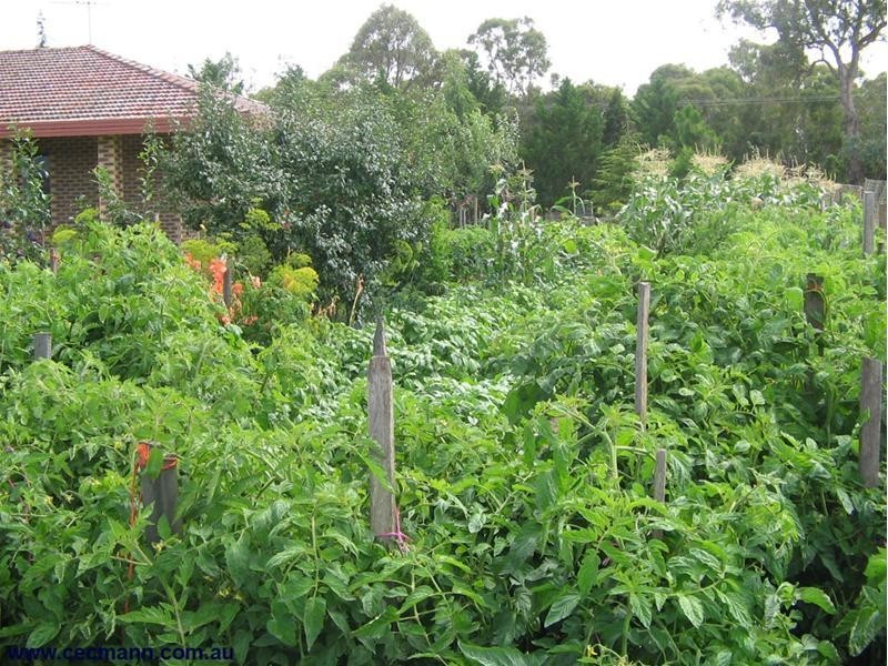 105 Tennant Road, Stanthorpe QLD 4380