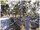278 Boyce Road, Stanthorpe QLD 4380