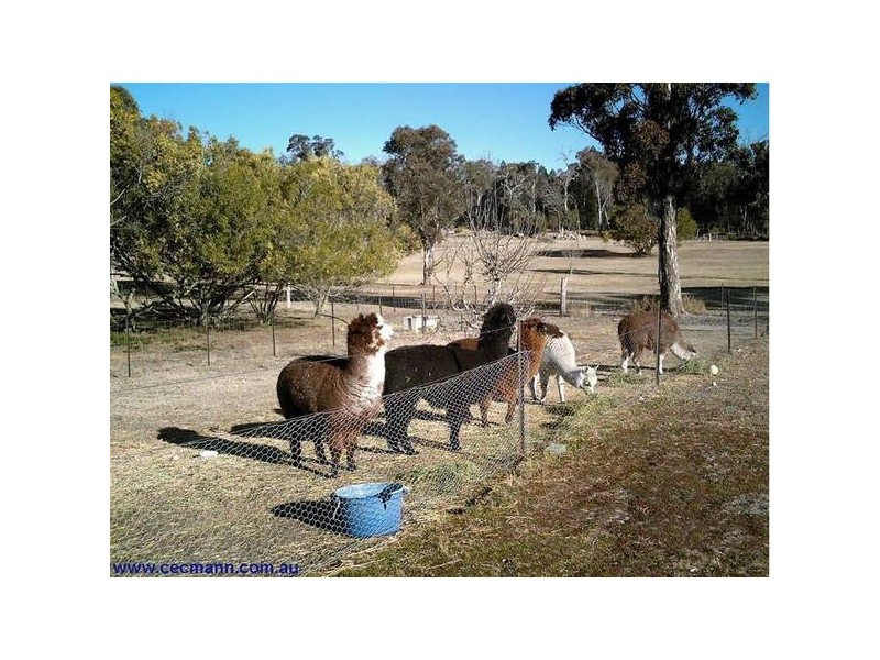 47 Matthews Lane, The Summit QLD 4377