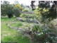 25333 New England Highway, The Summit QLD 4377