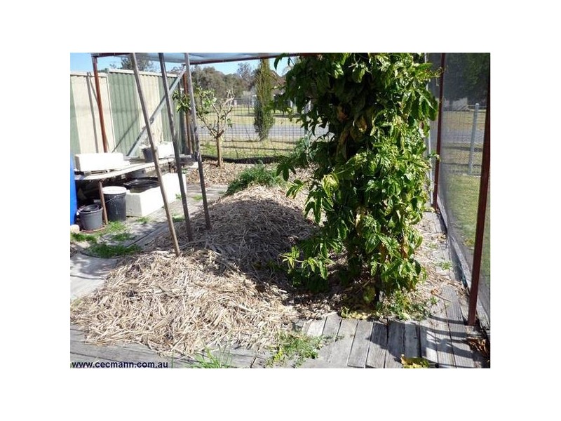 19 Pine Crescent, Stanthorpe QLD 4380
