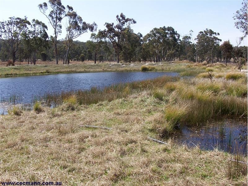 4 Mckechnie Road, Stanthorpe QLD 4380