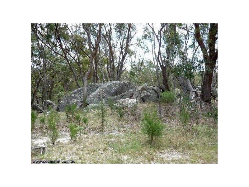 198 Dalcouth Road, Stanthorpe QLD 4380