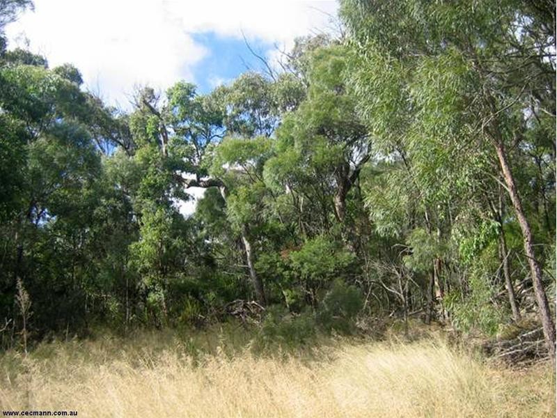 Lot 33 Pradella Road, Pozieres QLD 4352