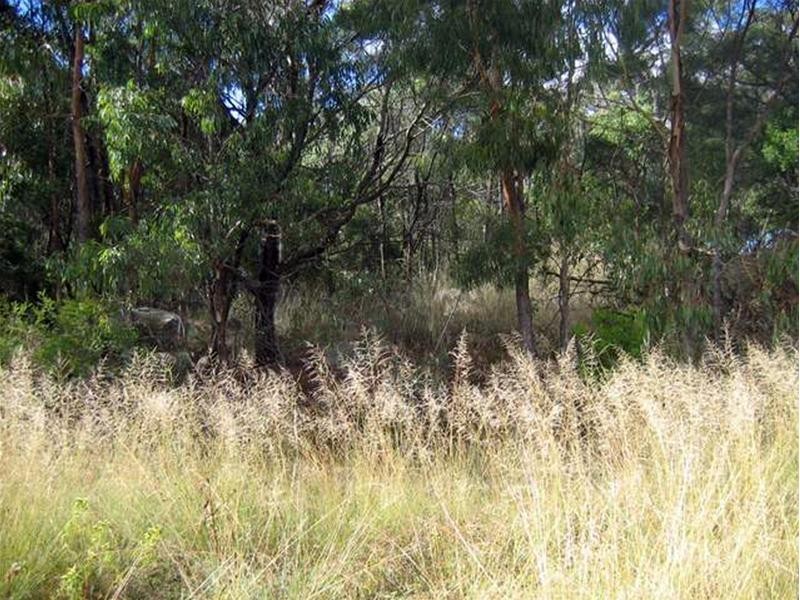 Lot 33 Pradella Road, Pozieres QLD 4352