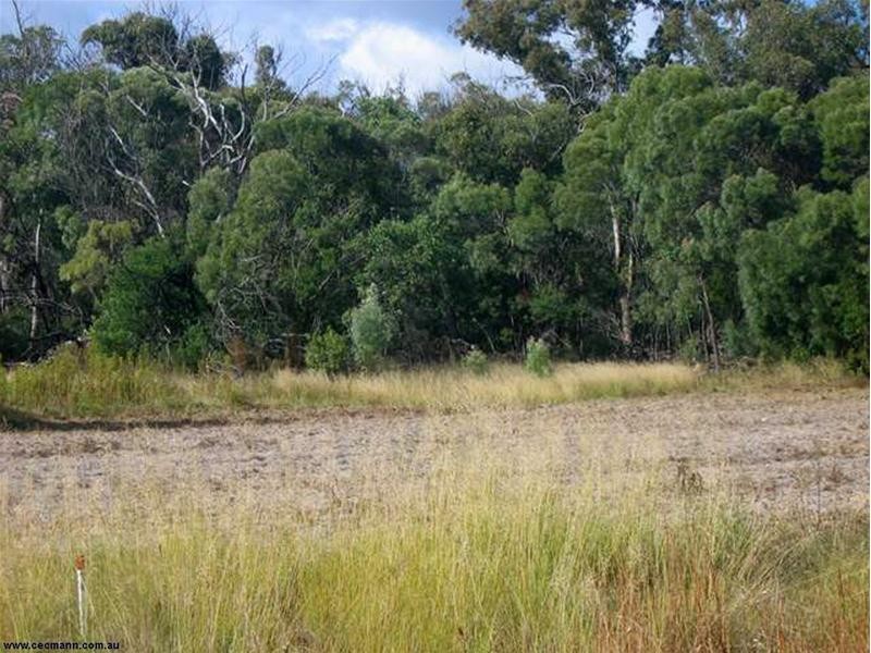 Lot 33 Pradella Road, Pozieres QLD 4352