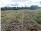 Lot 33 Pradella Road, Pozieres QLD 4352