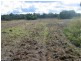 Lot 33 Pradella Road, Pozieres QLD 4352