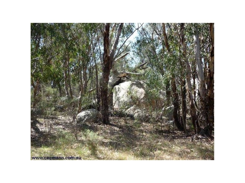 Lot 21 Donnelly Castle Road, Pozieres QLD 4352