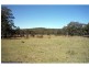182 Lode Creek Road, Stanthorpe QLD 4380