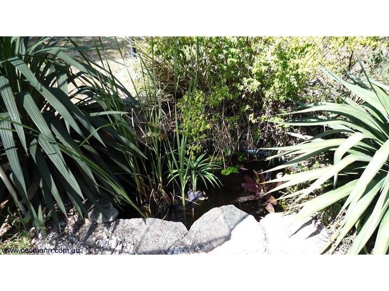 894 Amiens Road, Amiens QLD 4352