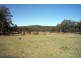 182 LODE CREEK ROAD, Stanthorpe QLD 4380