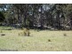 182 LODE CREEK ROAD, Stanthorpe QLD 4380