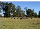 680 Mt Tully Road, Stanthorpe QLD 4380