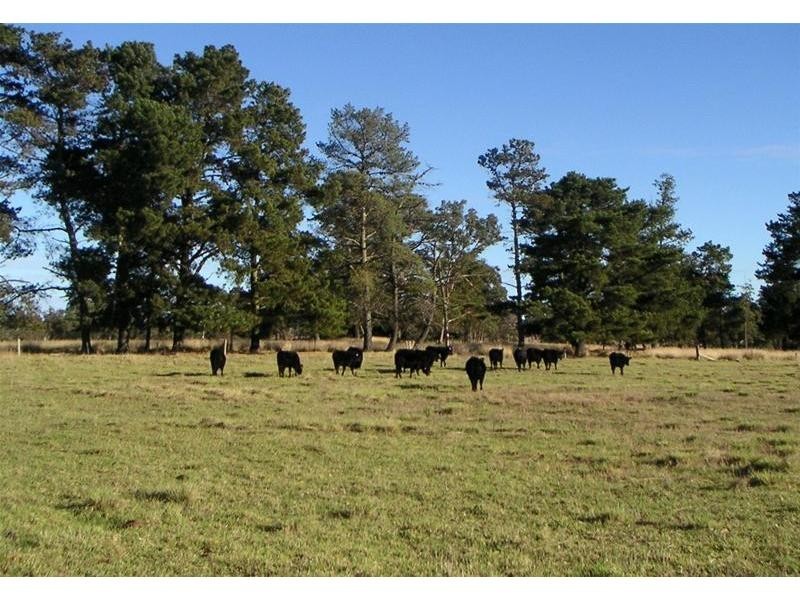 680 Mt Tully Road, Stanthorpe QLD 4380