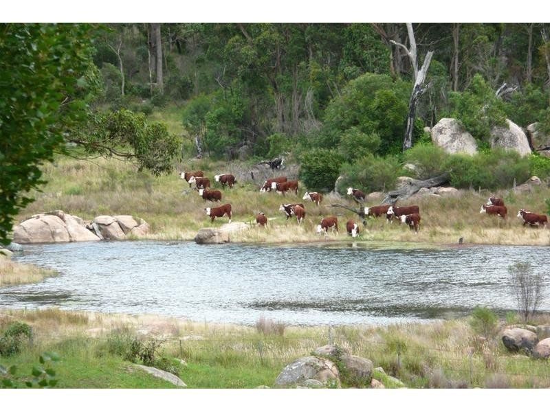 680 Mt Tully Road, Stanthorpe QLD 4380