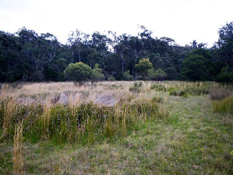 118 Bamberry Road, Stanthorpe QLD 4380