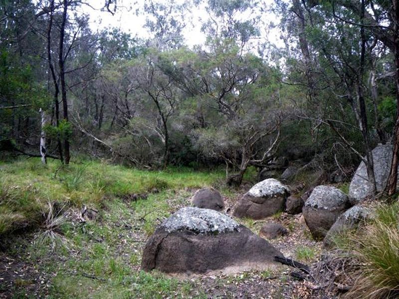 118 Bamberry Road, Stanthorpe QLD 4380