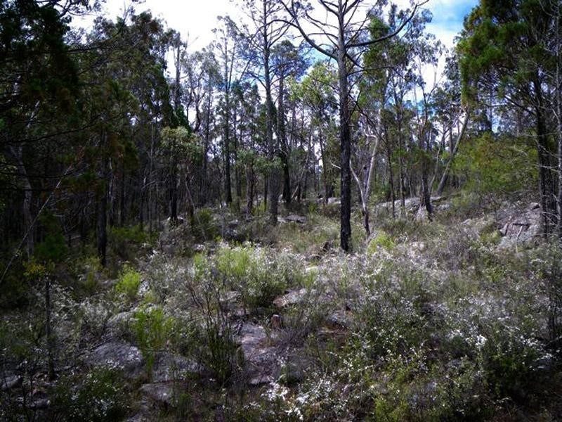 118 Bamberry Road, Stanthorpe QLD 4380