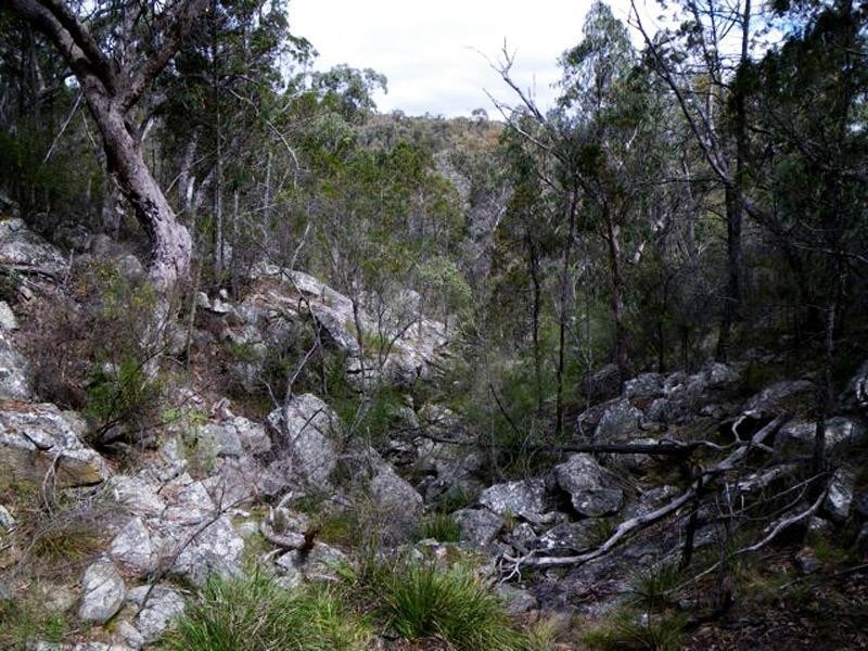 118 Bamberry Road, Stanthorpe QLD 4380