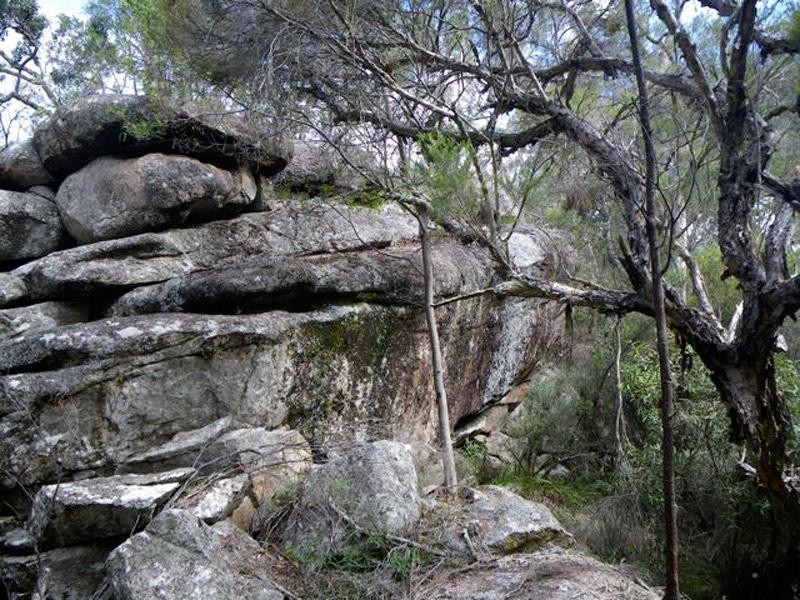 118 Bamberry Road, Stanthorpe QLD 4380
