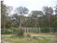 148 Sims Lane, Stanthorpe QLD 4380
