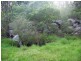 148 Sims Lane, Stanthorpe QLD 4380