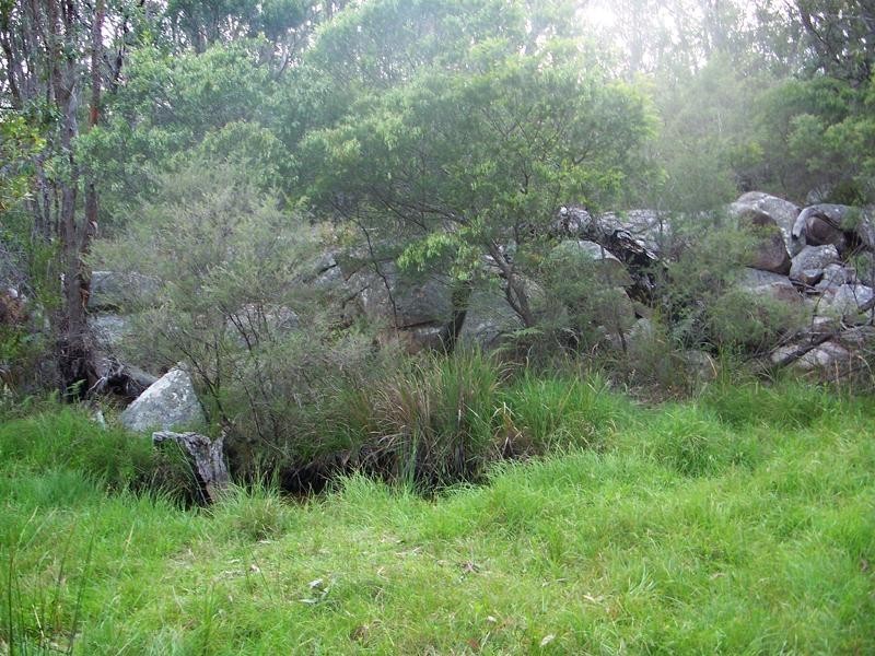 148 Sims Lane, Stanthorpe QLD 4380