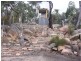 191 Yarrabee Lane, Stanthorpe QLD 4380