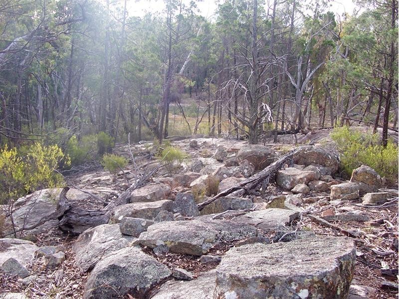 191 Yarrabee Lane, Stanthorpe QLD 4380