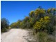 191 Yarrabee Lane, Stanthorpe QLD 4380