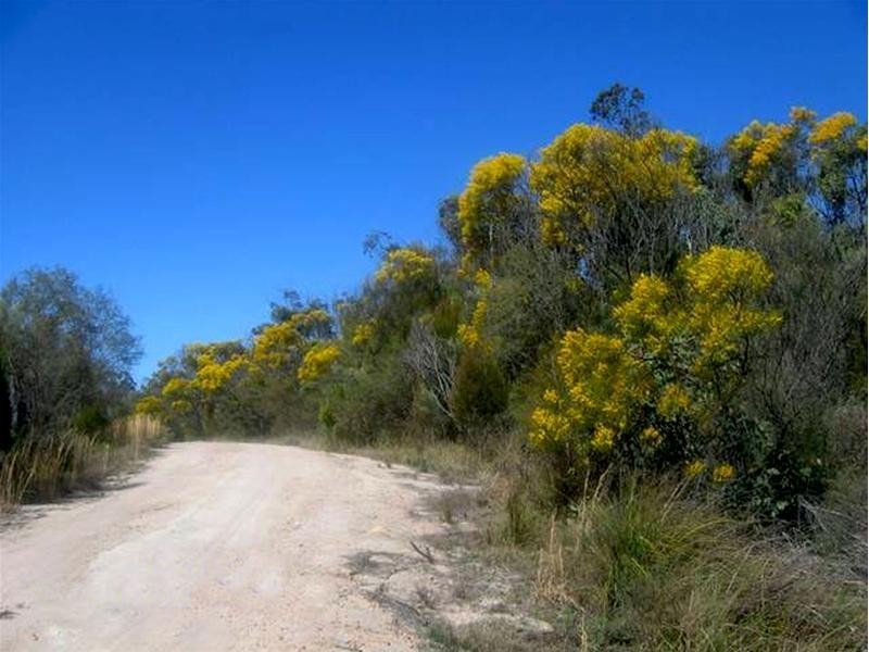 191 Yarrabee Lane, Stanthorpe QLD 4380