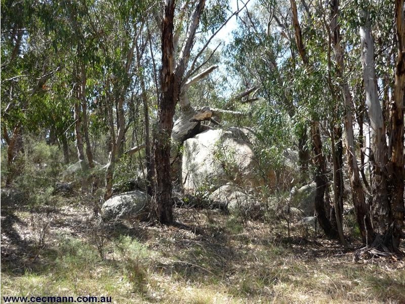 Lot 21 Donnelly Castle Road, Pozieres QLD 4352