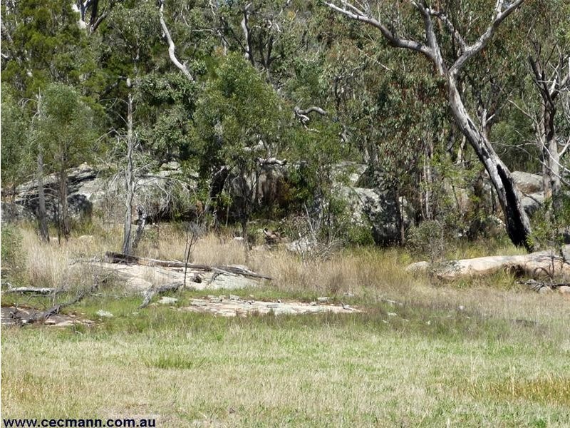 Lot 21 Donnelly Castle Road, Pozieres QLD 4352