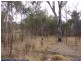 Lot 92 New England Highway, Ballandean QLD 4382