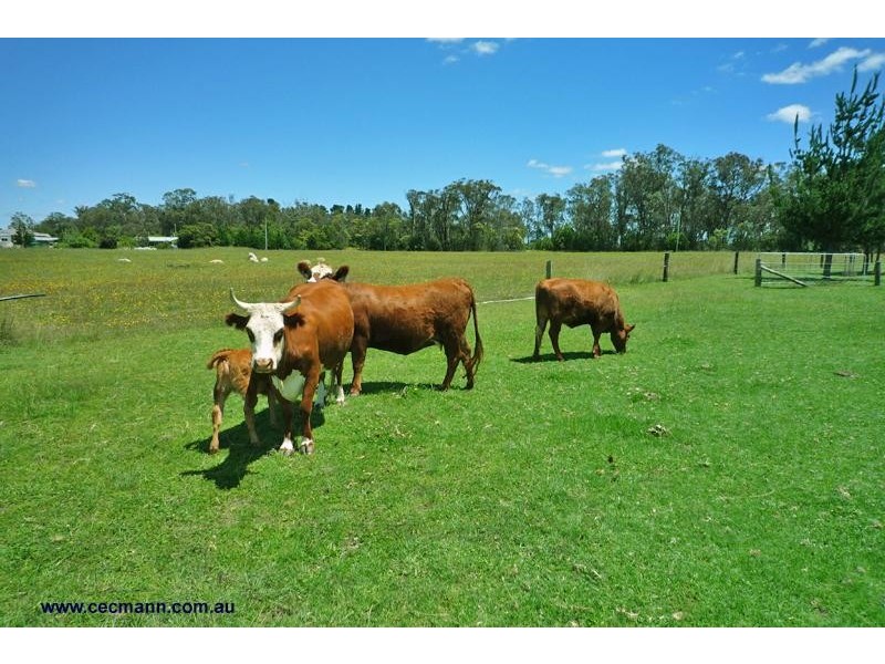 146 Ridge Road, The Summit QLD 4377