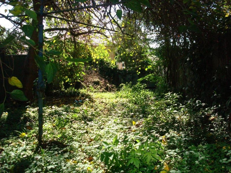 17 Caroline Street, Earlwood NSW 2206