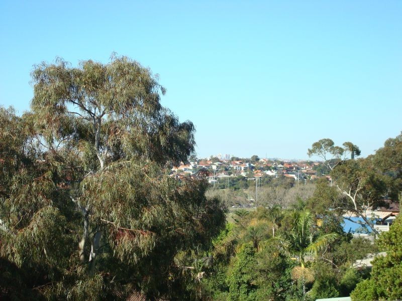 79 Homer Street, Earlwood NSW 2206