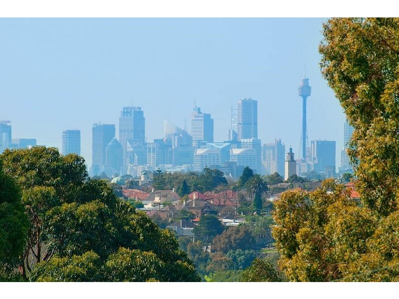 45 Paris Avenue, Earlwood NSW 2206