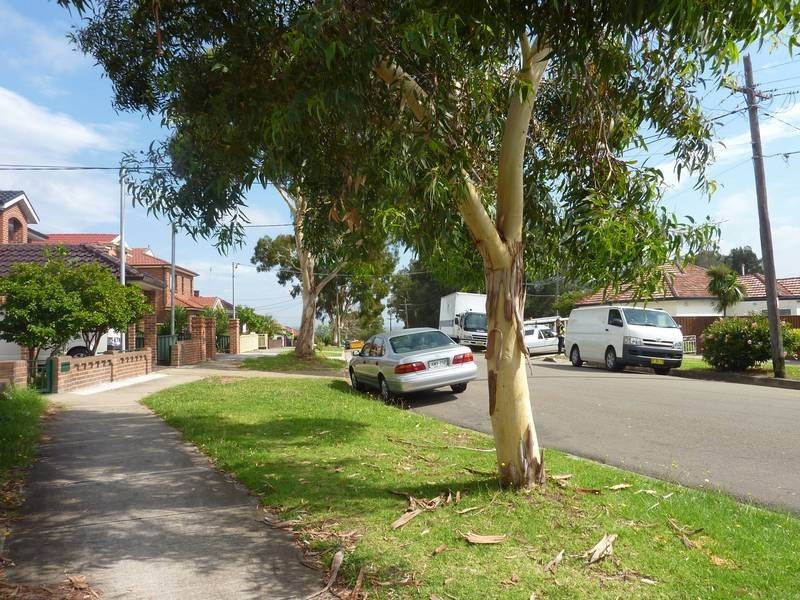 43 Glenview Avenue, Earlwood NSW 2206